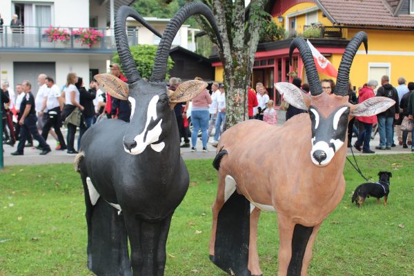 3 D Tierziele Antilopen