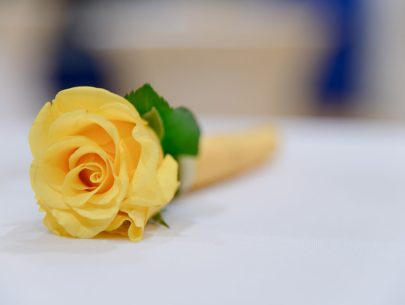 003_Video-Film-Fritz