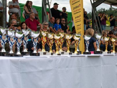 Bezirksleistungsbewerbe-Klagenfurt-Land-2022-16