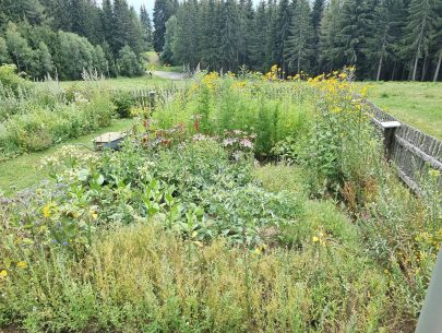 DJI_20220806_140135_266