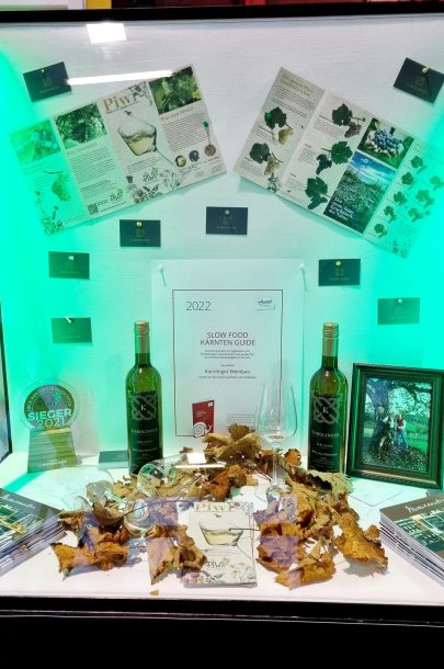 314491831_508330998000904_4202736097070591727_n