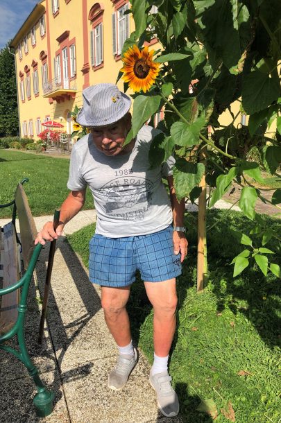 Sonnenblume 4 Walter