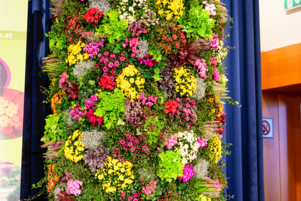 Blumenolympiade 2025